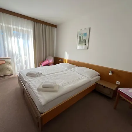 Mini-hôtel Alpina