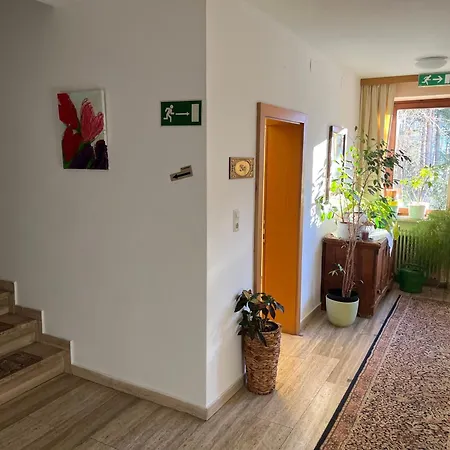 Mini-hôtel Alpina *
