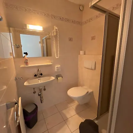 Mini-hôtel Alpina